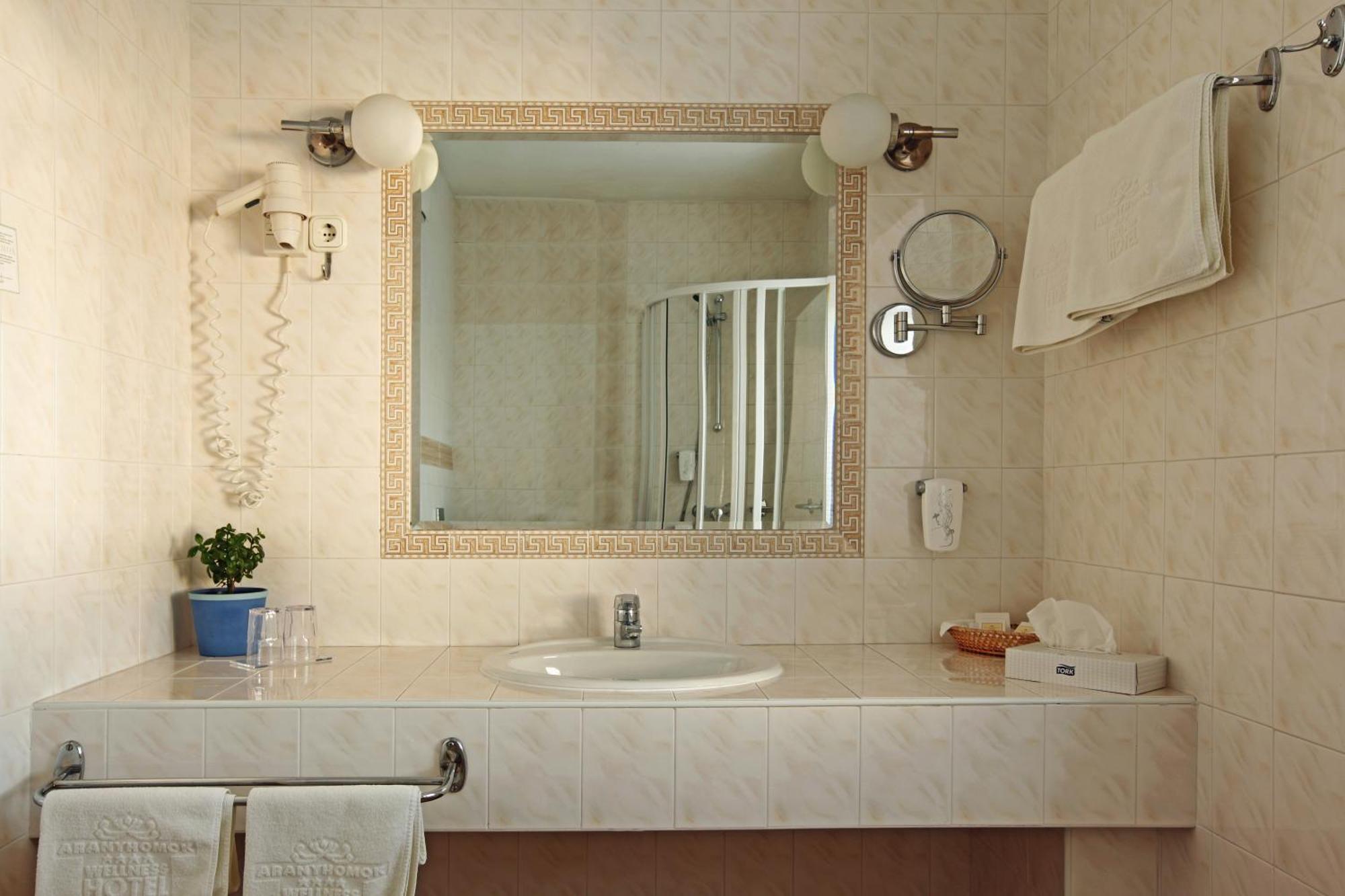 Aranyhomok Business City-wellness-hotel Hotel